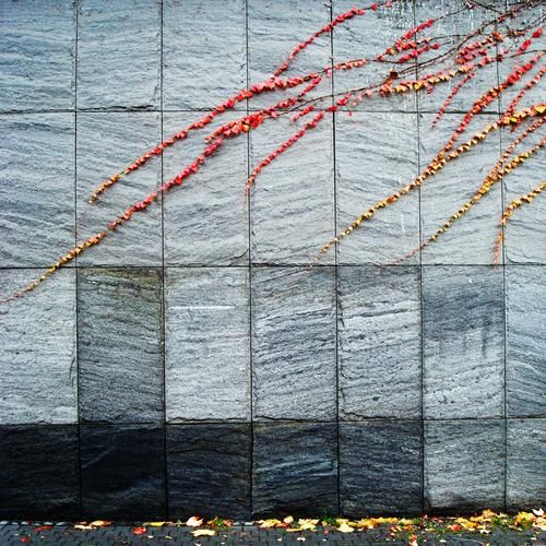 CGColloquium WiSe 2011/2012 Titelmotiv